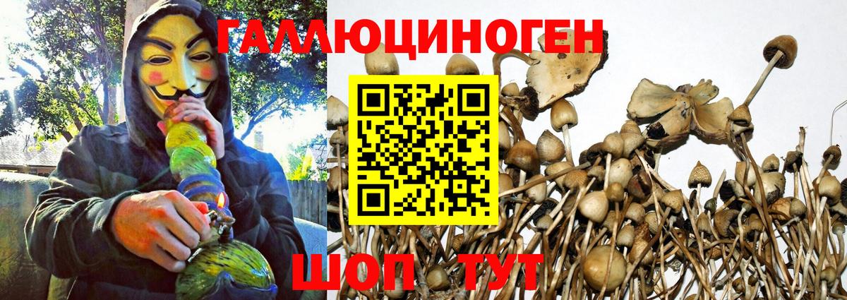 Псилоцибиновые грибы мицелий  Псилоцибиновые грибы Psilocybine cubensis  Вход с VPN  Радужный 